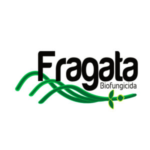 fragata