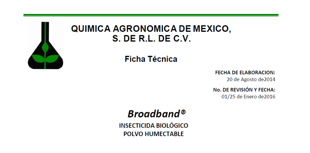 broadbandP-1024x506