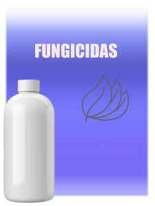 cf_prueba1